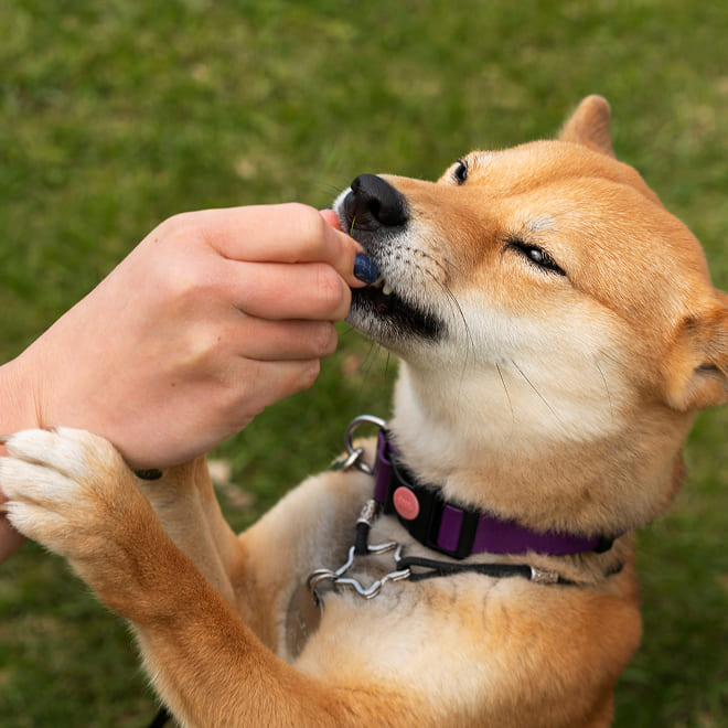 圖